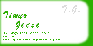 timur gecse business card